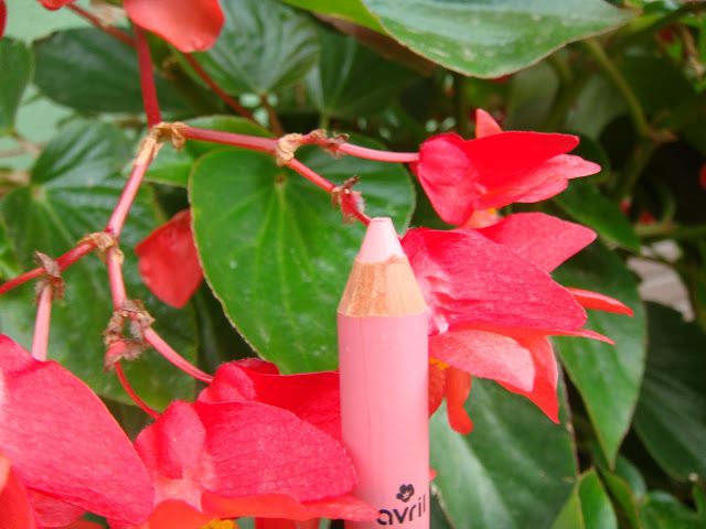 Pomadka w kredce Bois de Rose